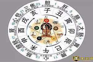 辰时属什么五行(辰时属什么)