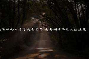 测试缘分是否已尽塔罗 测试缘分
