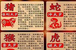 2022年是什么生肖年份虎的图片(2022年是什么生肖年)
