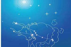土象星座(金牛座是土象星座吗)