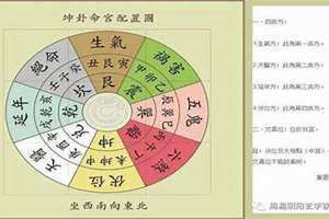 八字命师电视剧免费观看 八字命师叶飞宇免费阅读