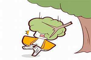 木旺是什么意思(木旺)