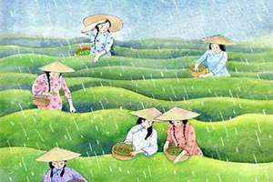 谷雨节气介绍(谷雨节气习俗)