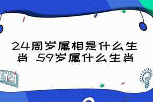 59岁属什么的生肖属相(59岁属什么)