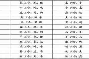 牛的三合生肖是哪三个 牛的三和生肖