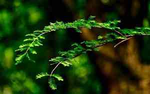 做事慢吞吞的面相男人好吗