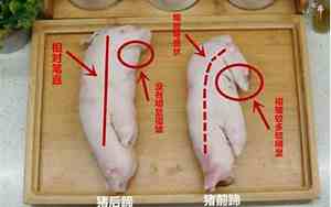 猪脚和猪蹄有什么区别吗