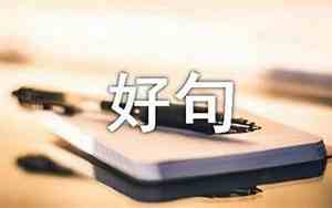描写人品质不好的句子简短