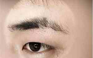 短促眉毛男人的寿命