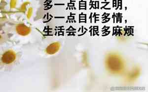 短短一句,说透人生