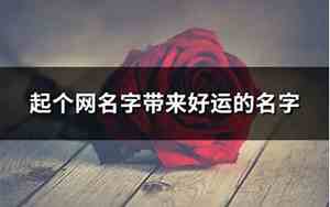 帮我起个网名字