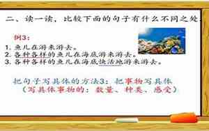 什么叫编句