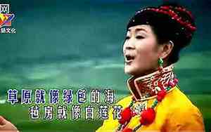 降央卓玛歌曲精选13首马儿你慢些走