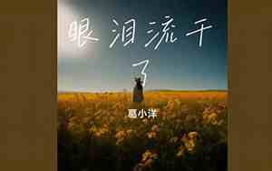 形容眼泪流干了句子成语