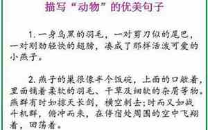 动物消亡句子简短