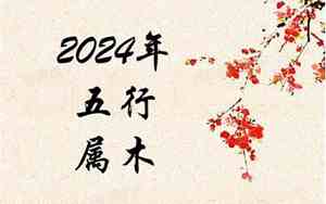 2024年出生是什么命五行属什么