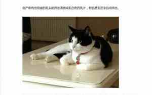 母猫生产前三天的征兆会流血吗