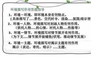 环境描写的句子65字