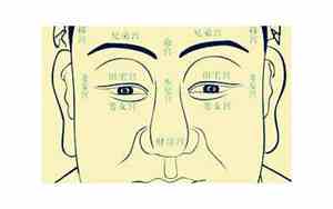 佛教教授面相特征是什么