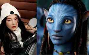 像阿凡达鼻子面相的女明星