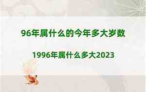 1996年多大了2024