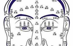 面相上地库代表什么生肖和动物