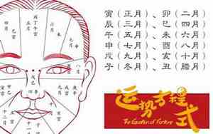 面相预测软件刷脸