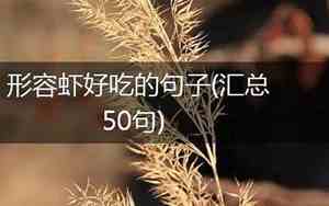 比喻虾好吃的句子简短