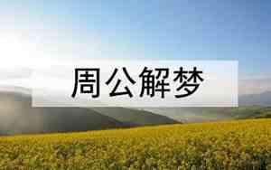梦见和别人发生枪战是什么意思