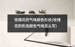 玫瑰花的气味描写70字