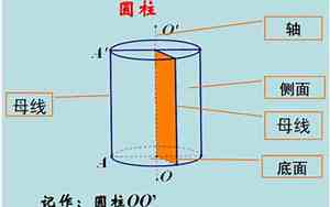 圆柱的侧面与底面相交成几条线它们都是直线吗