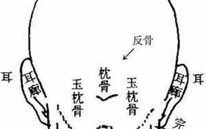 前脑凸的人智商高