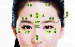 准女婿的面相特征图片