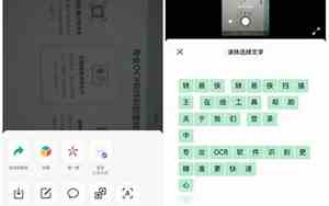 苹果照片提取文字怎么操作