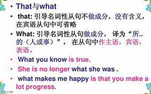 what句子怎么翻译