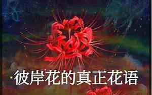 关于生死边缘的说说