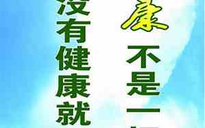 形容身体健康很重要的句子成语