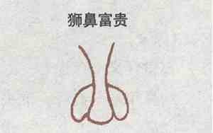 狮鼻虎鼻