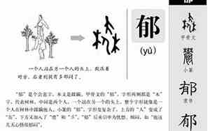 郁字取名的寓意