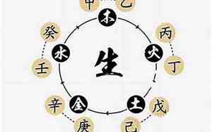 测算五行生辰八字软件