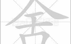 舍字取名好吗