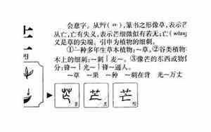 取名芒果是什么意思