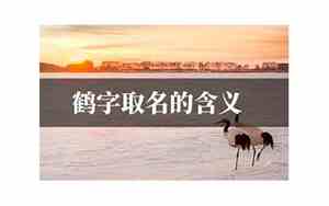 鹤字取名是吉还是凶