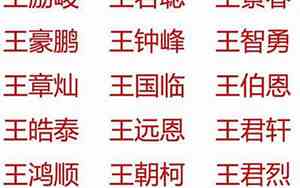 王姓宝宝取名字男孩子