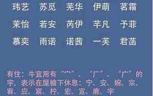 鸢字取名女孩