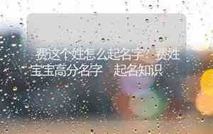 用费起名字