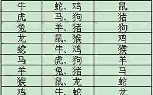 龙生肖2025年全年运势
