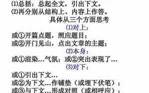 段落句子的作用是什么