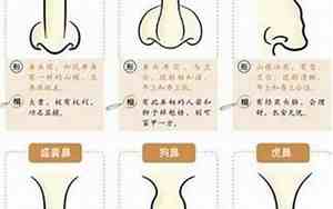 鼻子的面相和命运如何