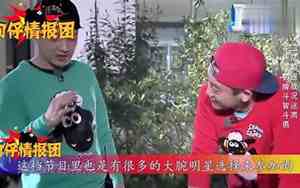 综艺节目看明星还是看内容